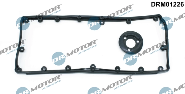 DR MOTOR DRM01226