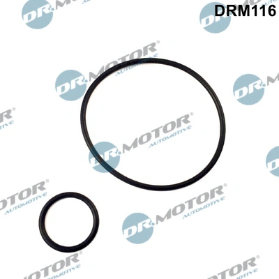 DR MOTOR DRM116