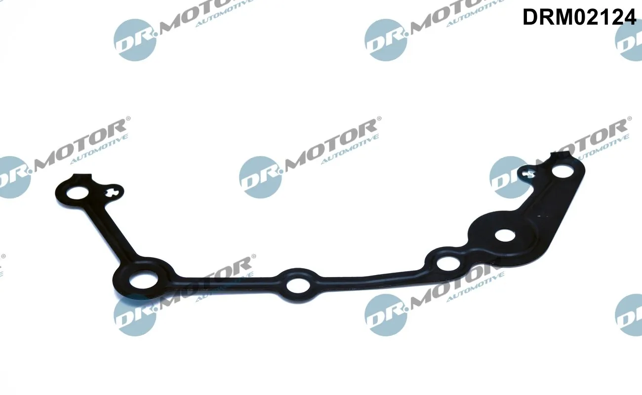 DR MOTOR DRM02124
