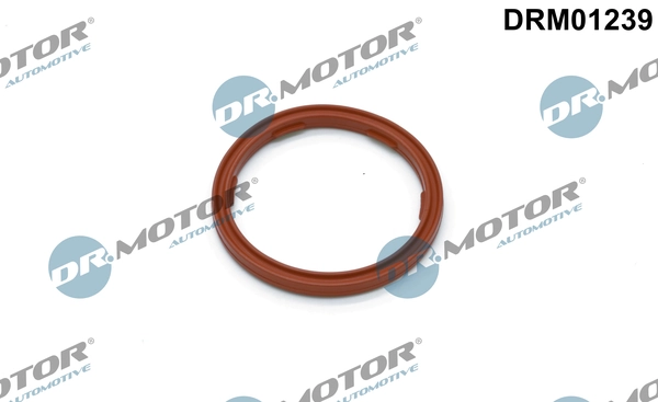 DR MOTOR DRM01239