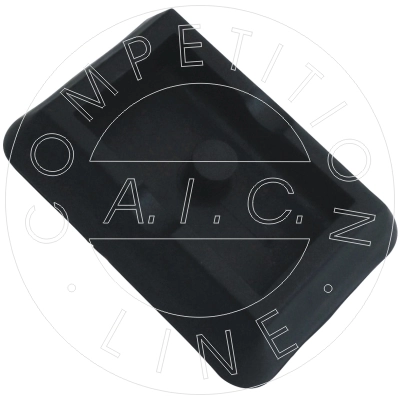 AIC 55711