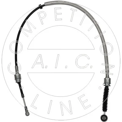 AIC 58983