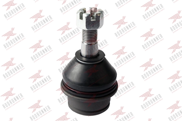 RODRUNNER BJN595