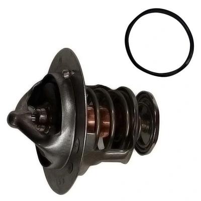 BAPMIC TOPT3106005