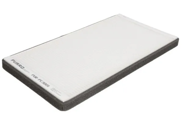 PURRO PURPC3001