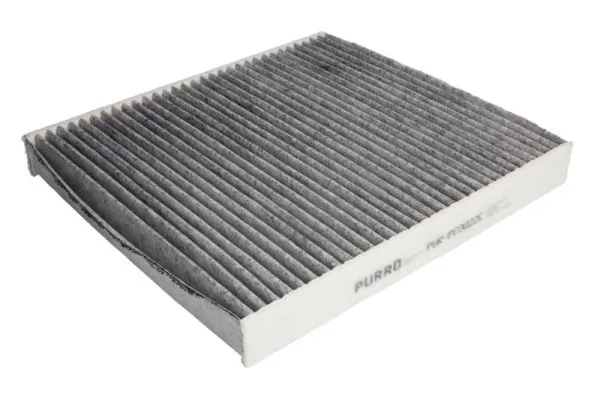 PURRO PURPC0022C