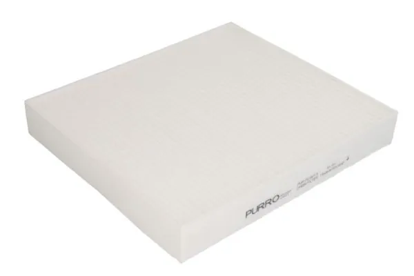 PURRO PURPC0019