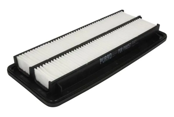 PURRO PURPA8157