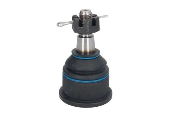 REINHOCH RH036005