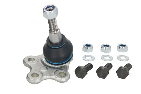 REINHOCH RH032024