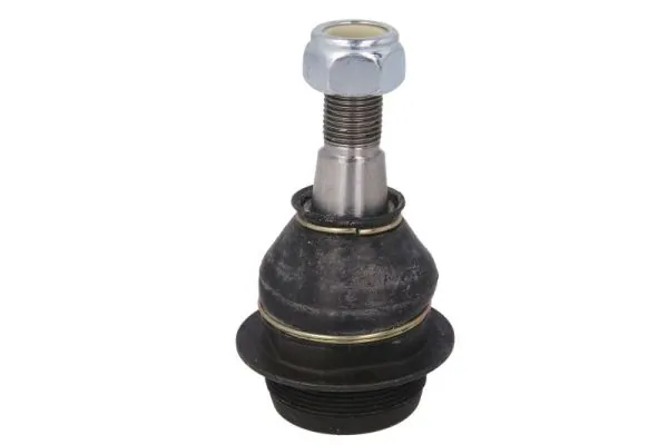 REINHOCH RH032047