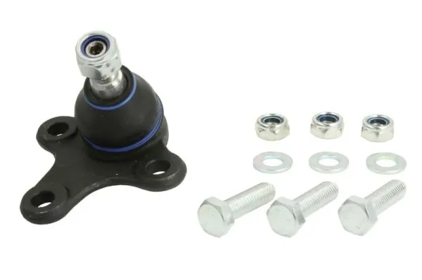 REINHOCH RH030016