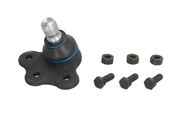REINHOCH RH035008