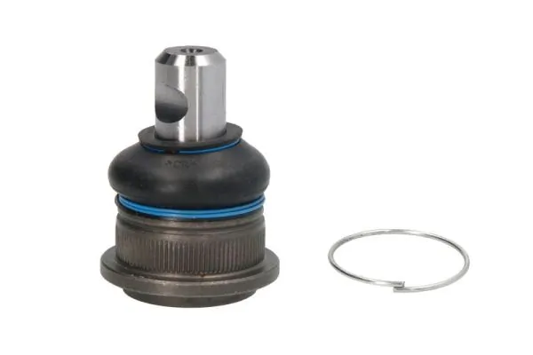 REINHOCH RH032023