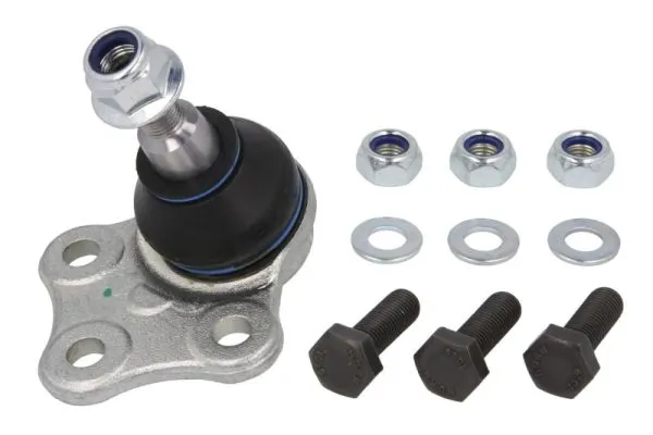 REINHOCH RH032031