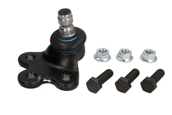 REINHOCH RH032041