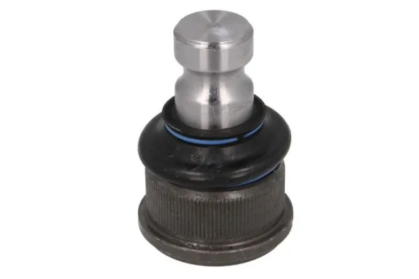 REINHOCH RH032022