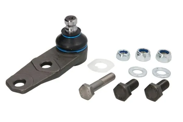 REINHOCH RH032004