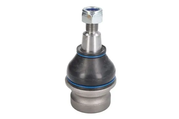 REINHOCH RH030041