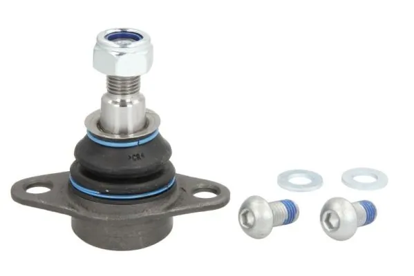 REINHOCH RH033013