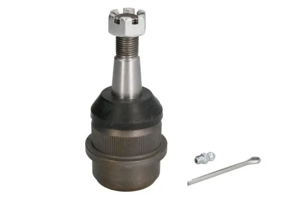 REINHOCH RH036001