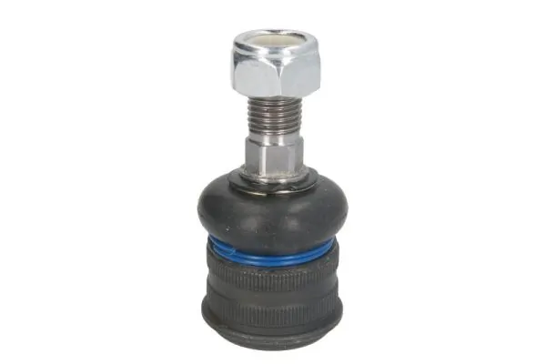 REINHOCH RH033024
