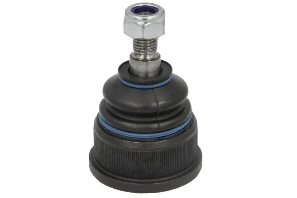 REINHOCH RH033010