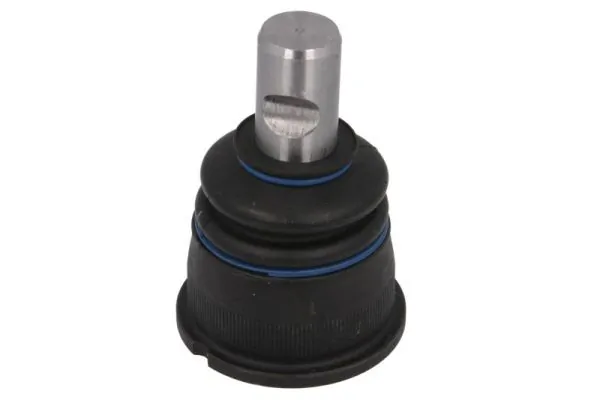 REINHOCH RH033003