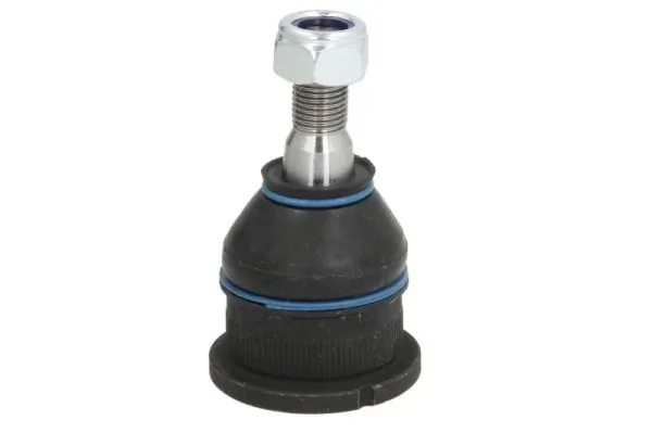 REINHOCH RH032009