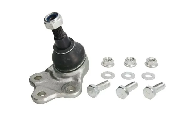 REINHOCH RH035013