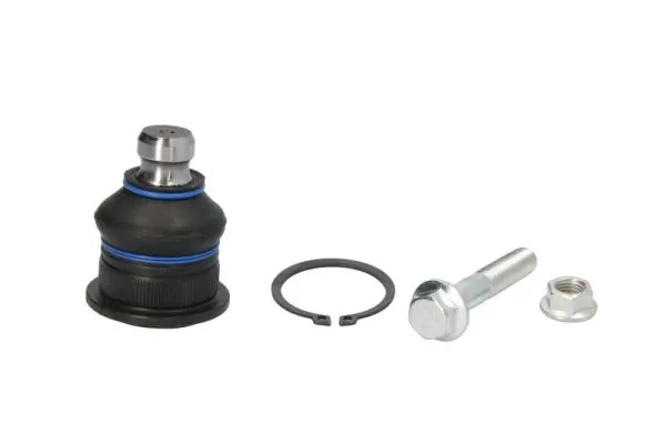 REINHOCH RH032002