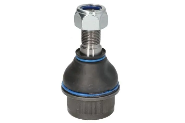 REINHOCH RH541002