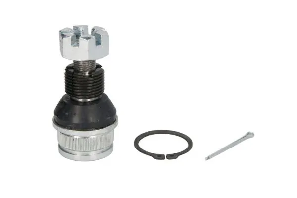 REINHOCH RH036002