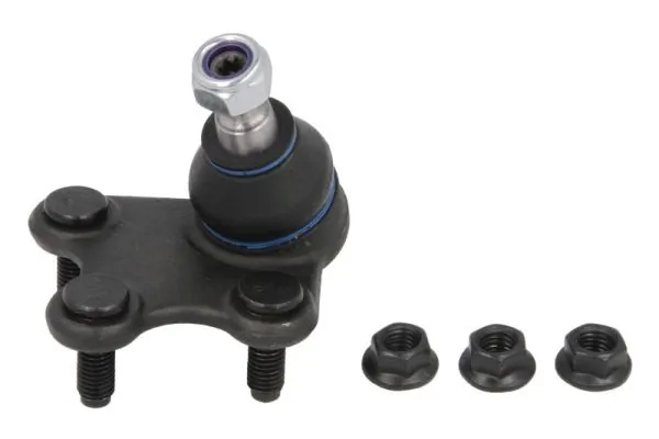 REINHOCH RH030022