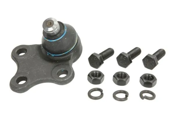 REINHOCH RH032013