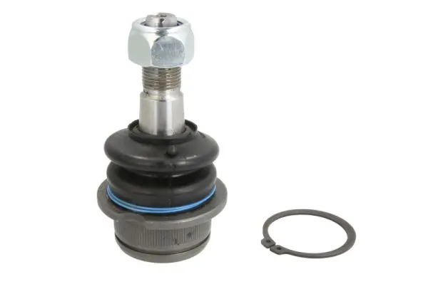 REINHOCH RH030030