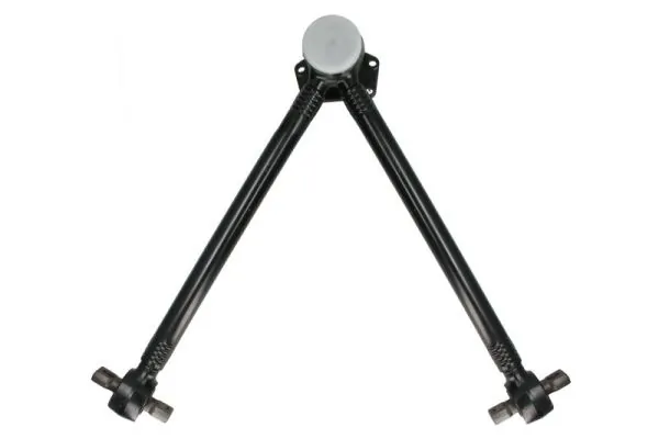 REINHOCH RH539031