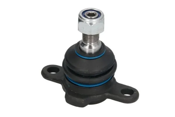 REINHOCH RH030033