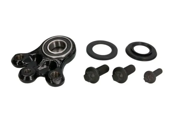 REINHOCH RH032038