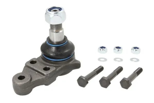 REINHOCH RH030019