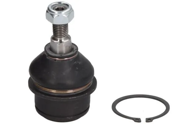 REINHOCH RH036009