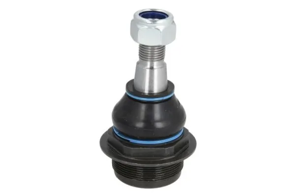 REINHOCH RH032026