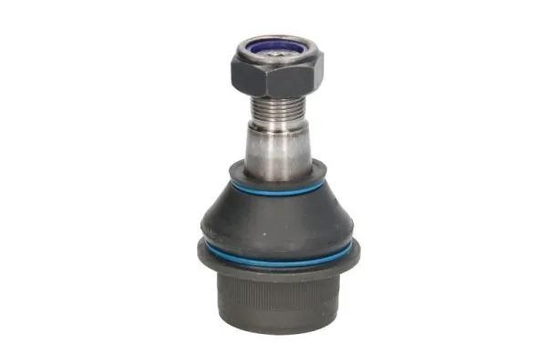 REINHOCH RH033016