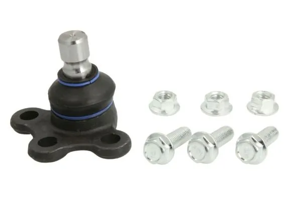 REINHOCH RH032036
