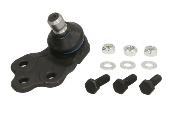 REINHOCH RH031010