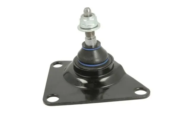 REINHOCH RH036006