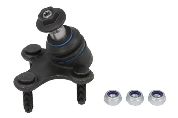 REINHOCH RH030025