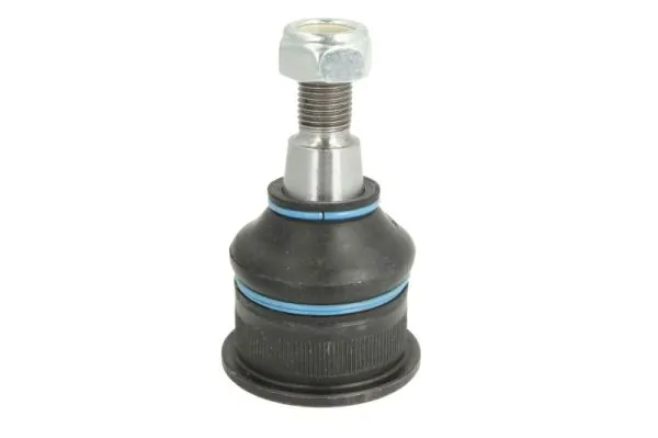 REINHOCH RH032025