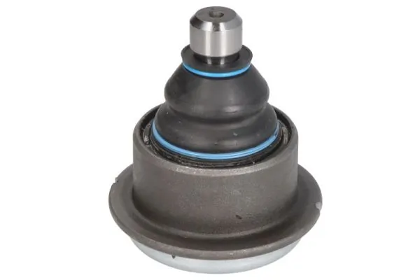 REINHOCH RH036013