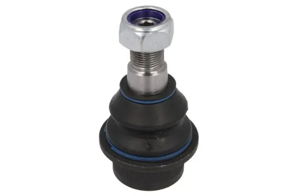 REINHOCH RH030020